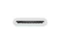 Pikkukuva 2 / 5: Apple USB-C to SD Card Reader, SD, White, iPhone 15 Pro; iPhone 15 Pro Max; iPhone 15; iPhone 15 Plus; iPad Pro 13-inch (M4); iPad Pro..., USB 2.0 Ty