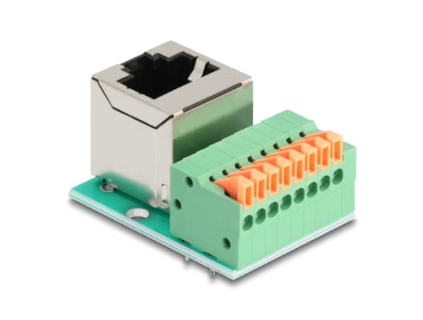 Delock - Nätverkskort - RJ-45 (hona) vinklad till 8-stifts terminalblock - CAT 5e