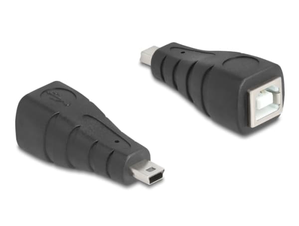 Delock - USB-adapter - mini-USB type B (hann) til USB-type B (hunn) - USB 2.0 - svart
