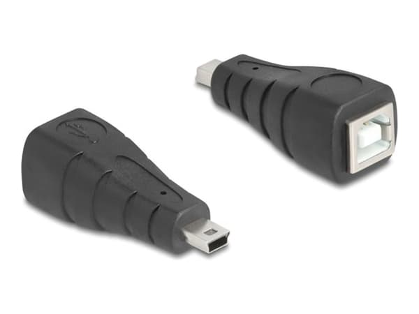 Delock - USB-adapter - mini-USB type B (hann) til USB-type B (hunn) - USB 2.0 - svart
