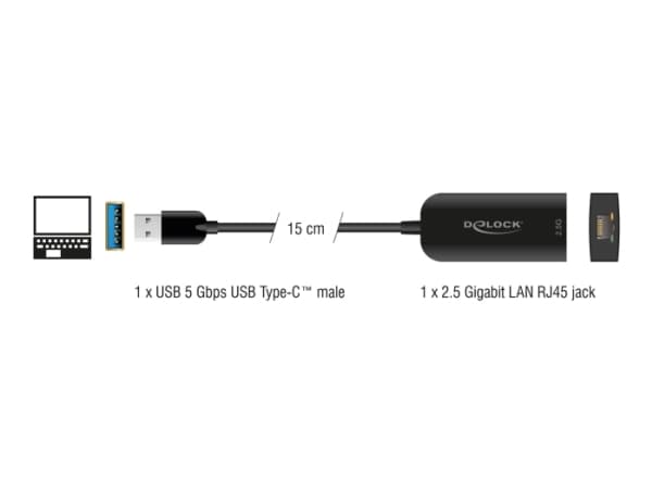 DeLOCK 66045, USB 5 Gbps Type-A, 2.5 Gigabit LAN RJ45, 0.15 m, musta