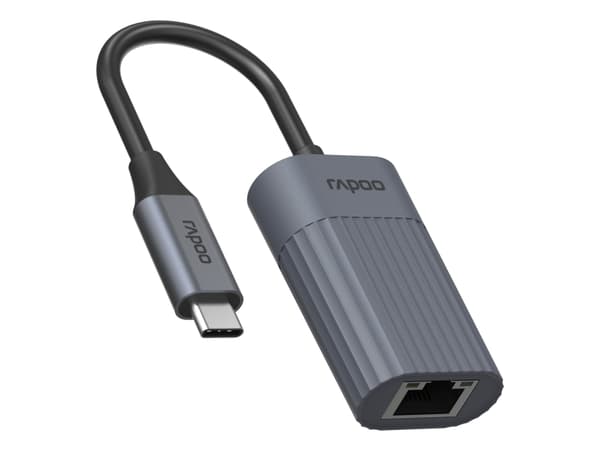 Rapoo UCA-1016, Koblet med ledninger (ikke trådløs), USB Type-C, Ethernet, 1000 Mbit/s, Grå