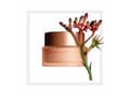 Miniatyrbilde 3 av 6: Clarins Extra-Firming Jour Firming Day Cream - Dame - 50 ml