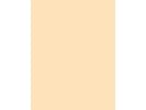 Dr. Hauschka Foundation - - 30 ml