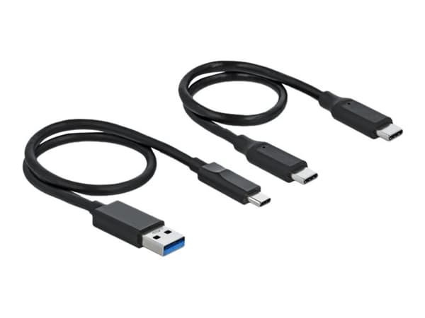 Delock M.2 Docking Station - Grensesnittsadapter - M.2 NVMe Card - USB 3.2 (Gen 2) - sølv