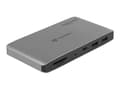 Miniatyrbild 3 av 5: Delock - Dockningsstation - Thunderbolt 3 - 2 x DP - 1GbE