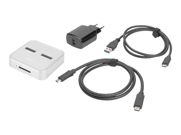 DIGITUS - SSD-dokkestasjon - brønner: 2 - M.2 - M.2 Card (PCIe NVMe & SATA) - USB-C 3.2 (Gen 2) - sølv