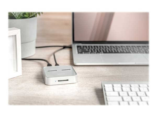 DIGITUS - SSD-dokkestasjon - brønner: 2 - M.2 - M.2 Card (PCIe NVMe & SATA) - USB-C 3.2 (Gen 2) - sølv