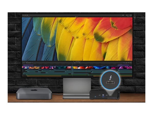 Sonnet Echo - Solid state drive array - 2 lokeroa (NVM Express) - Thunderbolt 3 (ulkoinen)