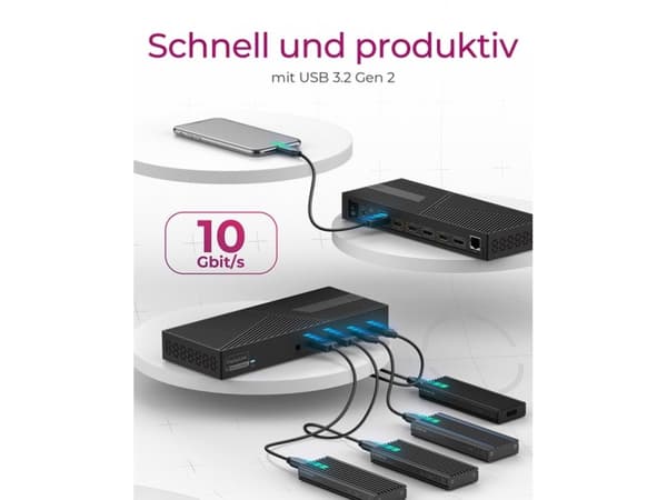 ICY BOX IB-DK2246AC - Dockningsstation - för bärbar dator - USB-C 3.2 Gen 2 / Thunderbolt 3 / Thunderbolt 4 - 2 x DP, 3 x HDMI - 1GbE - 130 Watt - Eu