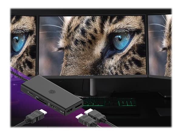 ICY BOX IB-DK4011-CPD - Dockningsstation - USB-C 3.2 Gen 1 - 2 x HDMI, DP