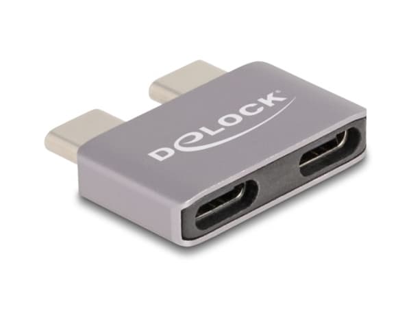 Delock - USB-adapter - 24 pin USB-C (hann) til 24 pin USB-C (hunn) - USB 3.1 - 48 V - 5 A - USB Power Delivery (240 W), up to 40 Gbps data transfer r