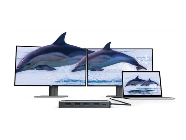 ALOGIC MV2, Langallinen, USB 3.2 Gen 1 (3.1 Gen 1) Type-C, 1000 Mbit/s, Harmaa, MicroSD (TransFlash), SD, 1920 x 1080 pikseliä