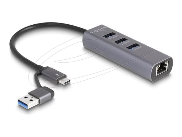 Delock - Hubb - 5 Gbps, med USB Type-C eller USB Type-A kontakt, i metallhölje - 3 x USB + 1 x 10/100/1000 - skrivbordsmodell