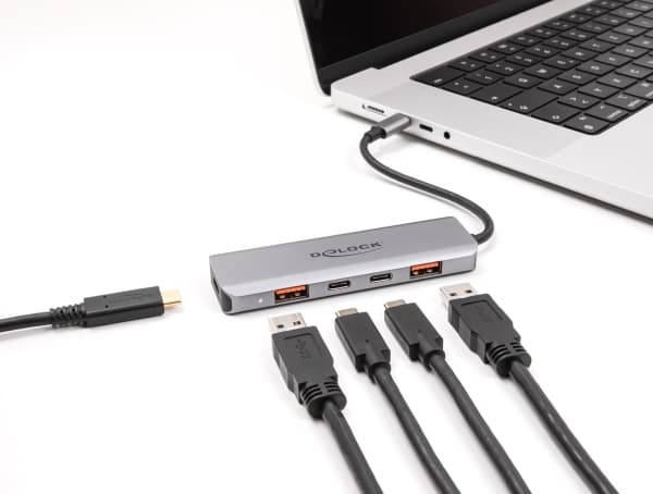 Delock - Hubb - 10 Gbps, Power Delivery 95 Watt - 2 x USB-C + 2 x USB - skrivbordsmodell