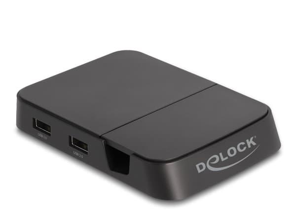 Delock - Telakointiasema + tablettiteline