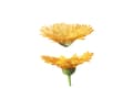 Miniatyrbilde 3 av 5: Weleda Calendula Cream Bath, 200 ml, 1 stykker