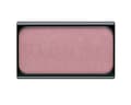 Miniatyrbilde 1 av 3: Art Deco Blusher - - 5 gr