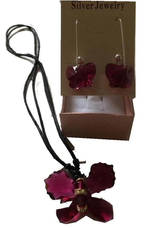 Swarowski-kristall Örhangen & Halsband Set