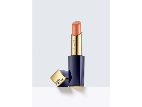 Estee Lauder Pure Color Envy Shine Läppstift 120 Discreet 3,1 g