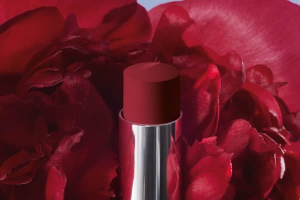 Christian Dior, Dior Rouge, Jojoba, Cream Lipstick, 879, Passionate, 3.2 g For Women