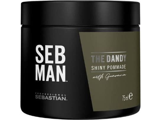Sebastian Professional Plauku pomade vyrams Sebastian Professional SEB MAN The Dandy Shiny 75 ml