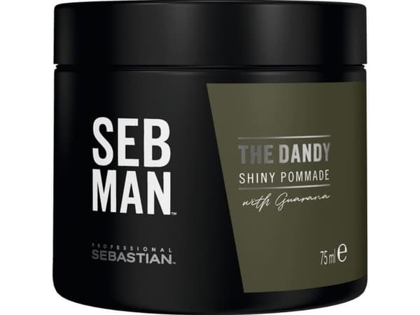 Sebastian Professional Man The Dandy Shiny Pommade 75 ml