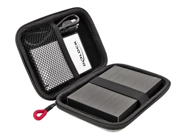 Delock Protection Bag - Beskyttelsesboks for harddisk - kapasitet: 1 harddiskstasjon (2,5") - grå, svart