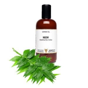 Neemolja 100 ml Amphora Aromatics