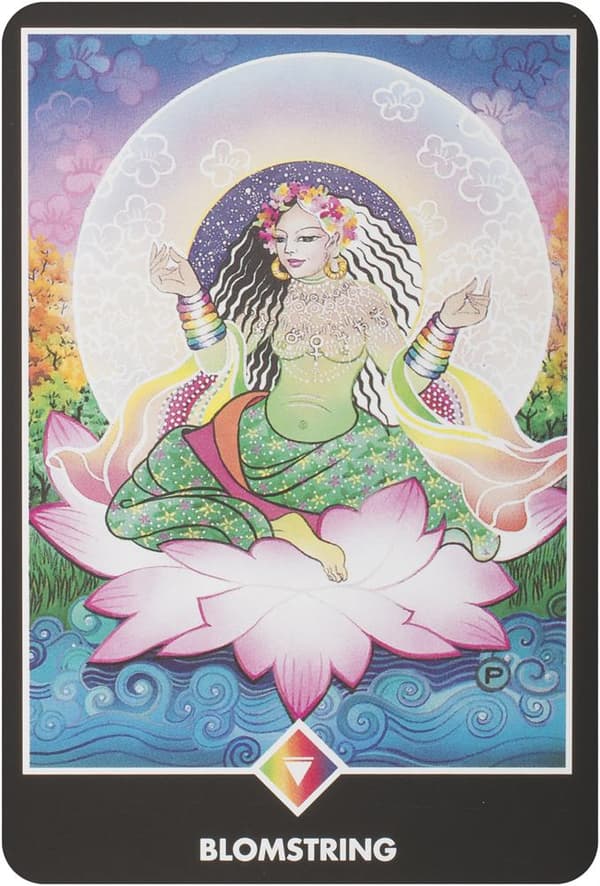 Osho zen tarot box (Svensk)
