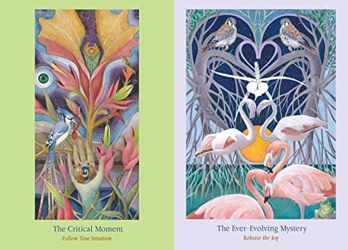 Heart Path Oracle Cards - Nadine Gordon-Taylor