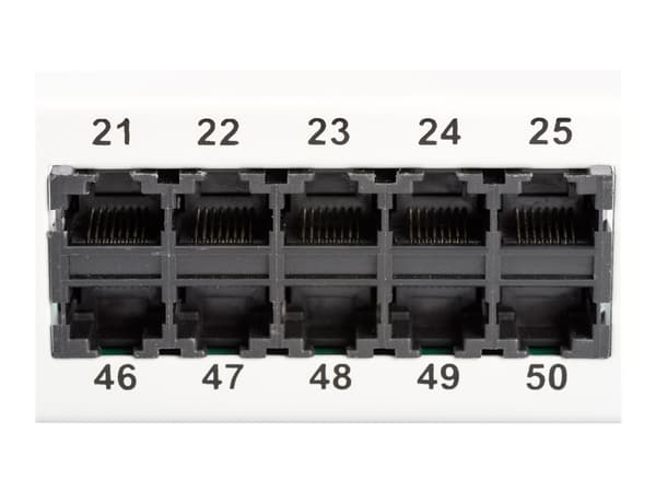 DIGITUS CAT 3 ISDN - Patch-panel - rackmontering - CAT 3 - RJ-45 X 50 - grå, RAL 7035 - 1U - 19"
