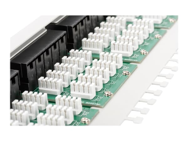 DIGITUS CAT 3 ISDN - Patch-panel - rackmontering - CAT 3 - RJ-45 X 50 - grå, RAL 7035 - 1U - 19"