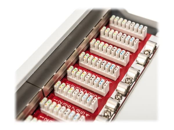 DIGITUS DN-91612S-EA-G - Patch-panel - rackmontering - CAT 6a - STP - RJ-45 X 12 - grå, RAL 7035 - 1U - 10"