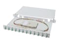 Miniatyrbilde 1 av 5: DIGITUS Professional DN-96321/3 - Spleiseboks for fiberoptikk - SC Duplex MM X 12 - grå, RAL 7035 - 1U - 19"