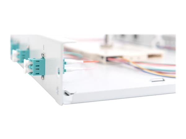 DIGITUS Professional - Spleiseboks for fiberoptikk - LC MM X 6 - grå, RAL 7035 - 1U - 19"