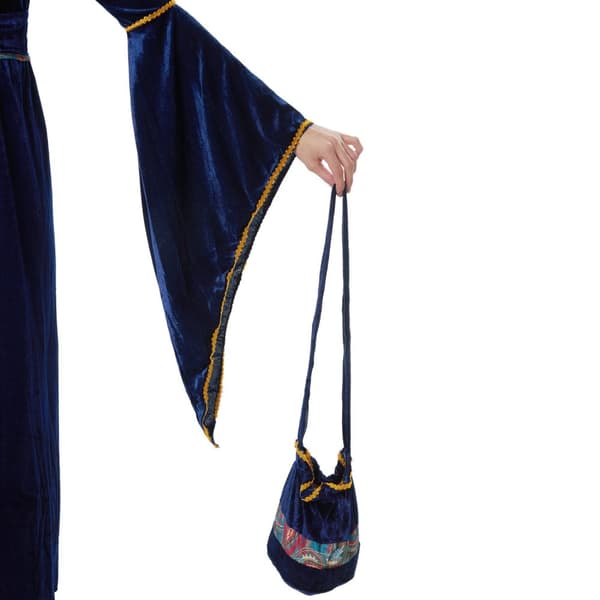 Fortryllende Borgfrøken kostume