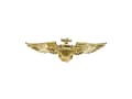 Miniatyrbilde 1 av 5: Pilot emblem
