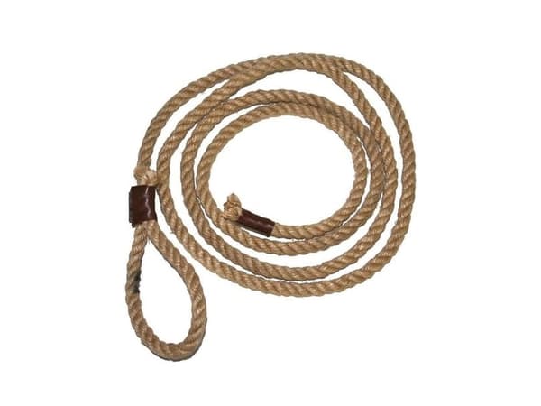Lasso