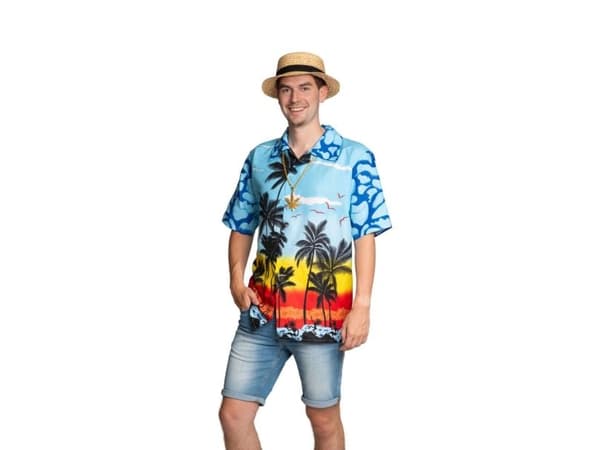 Hawaii skjorte, blåt paradis