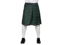 Pikkukuva 1 / 5: Boland 81228, Fancy dress skirt, Adult, Female, Polyester, Blue, Green, White, 316 g