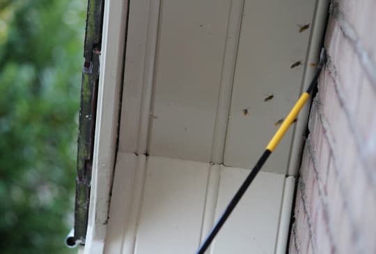 Birchmeier XL8 D Teleskoplanse 7 meter