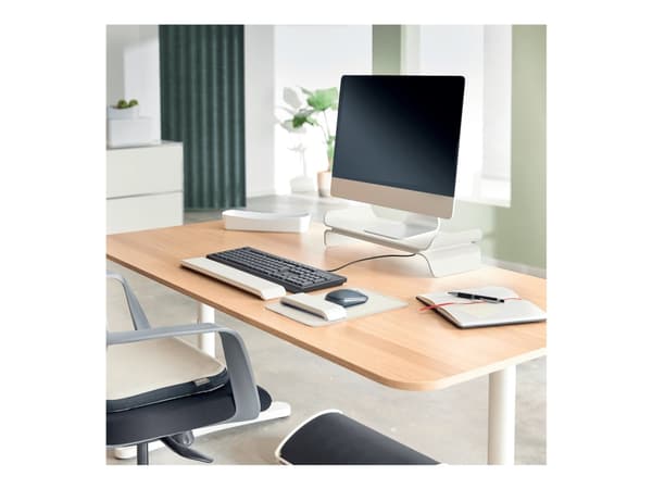 Leitz Ergo - Monitorställ - adjustable - grå