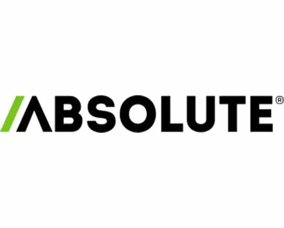 Absolute Control - Term License (2 vuotta) - Volyymi - 250-499 lisenssiä