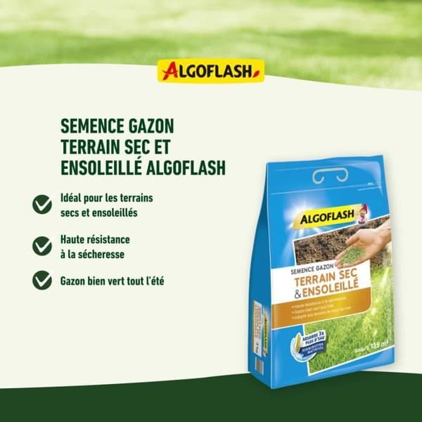ALGOFLASH Frø til tør og solrig græsplæne - 1 kg