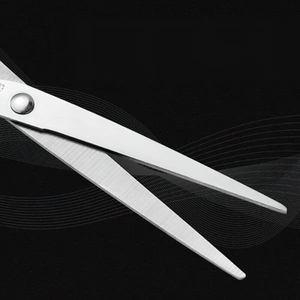 Professional Hairdressing Scissors Barber Salon Hair Cutting
