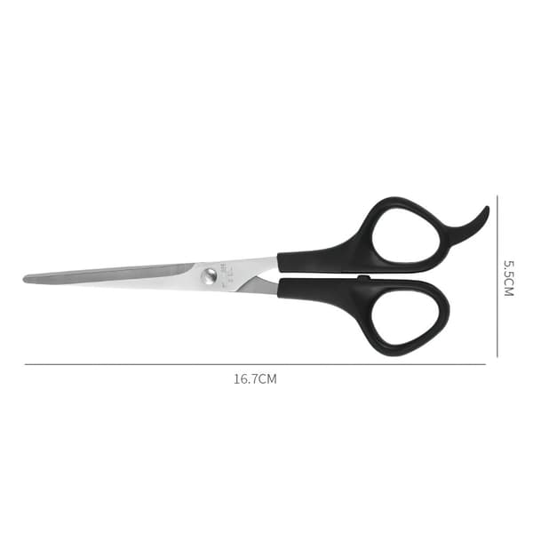 Professional Hairdressing Scissors Barber Salon Hair Cutting
