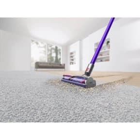 Dyson V10 Animal