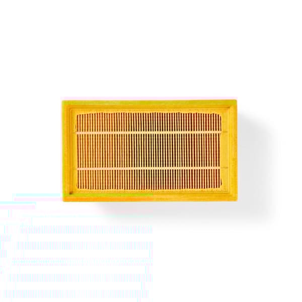 Nedis Dammsugar Motor Filter | Ersättning för: Kärcher  | KM 70/30 / NT 25/1 / NT 30/1 / NT 35/1 / NT 45/1 / NT 55/1 / NT 611 / NT40/1 / NT50/1