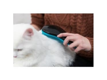 Trixie Soft brush, 19 cm